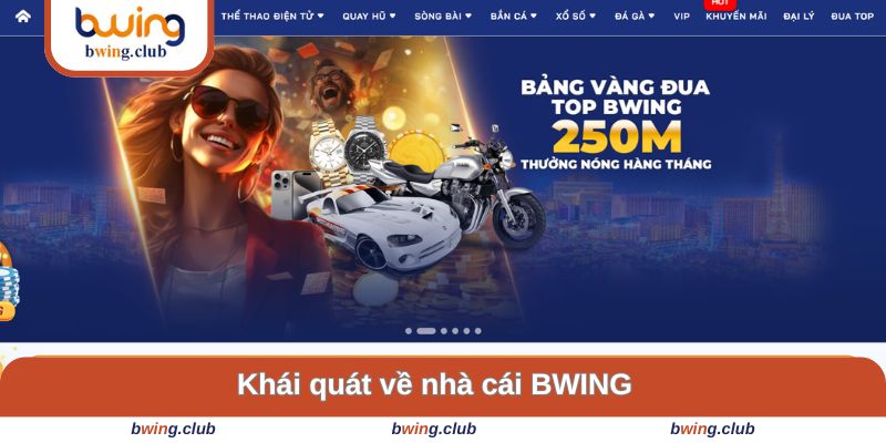 Khái quát sơ lược về nhà cái